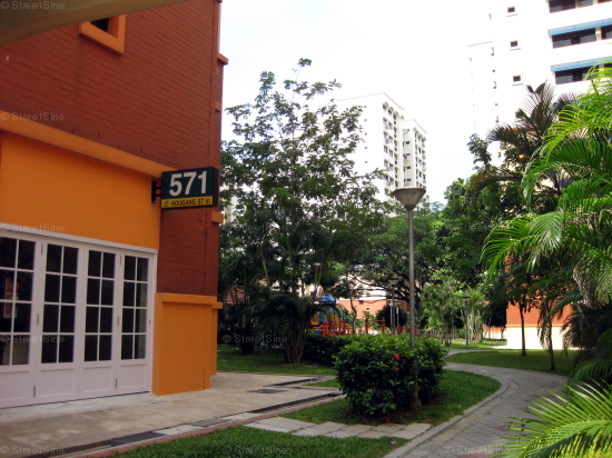 Blk 571 Hougang Street 51 (Hougang), HDB 5 Rooms #251942